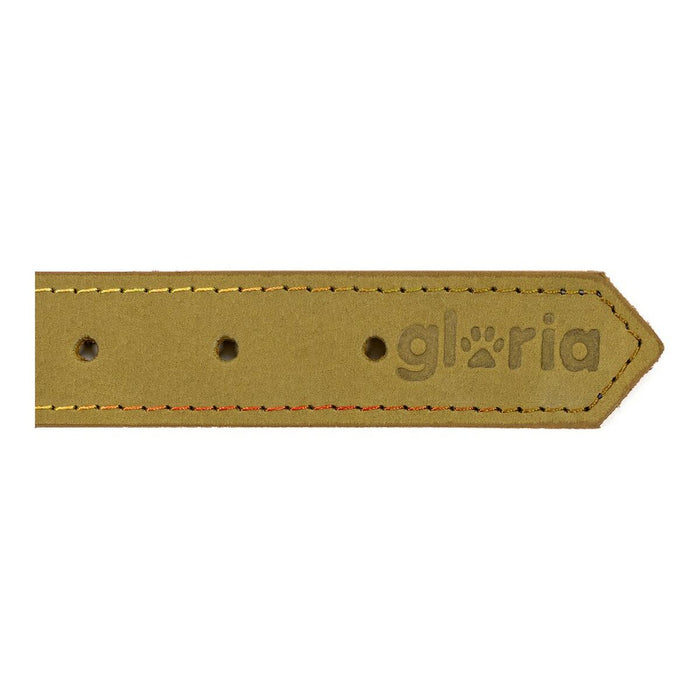 Dog collar Gloria Oasis Green (70 x 3 cm)